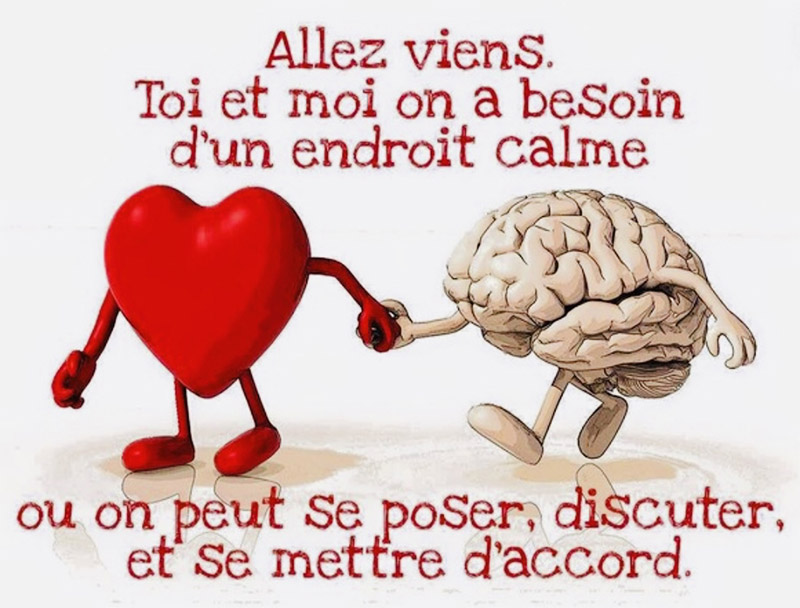 Coeur cerveau