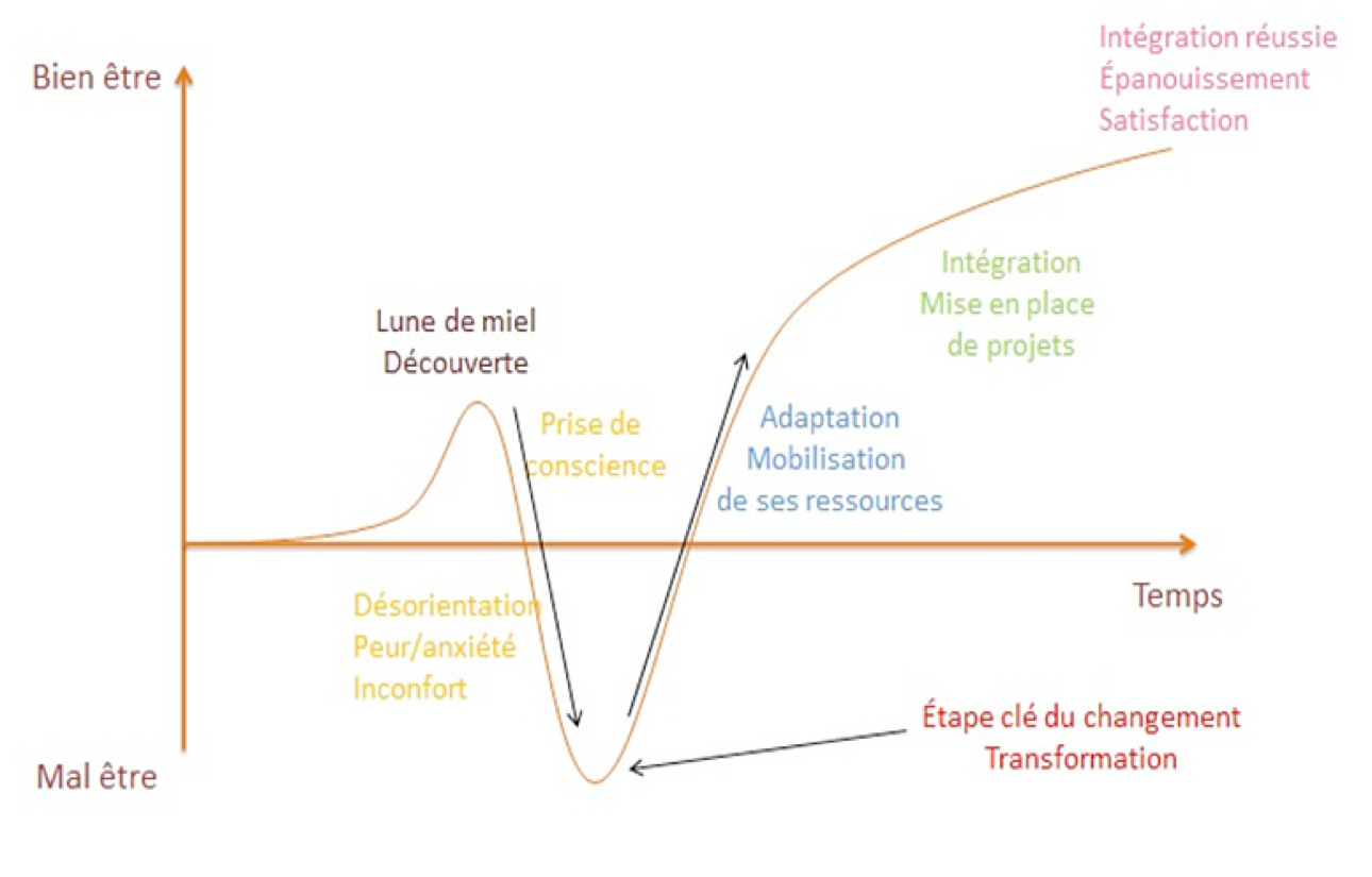 Courbe des changements émotionnels